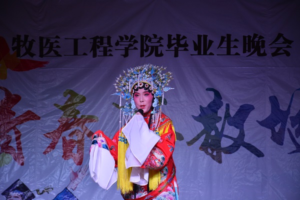 欧博官网