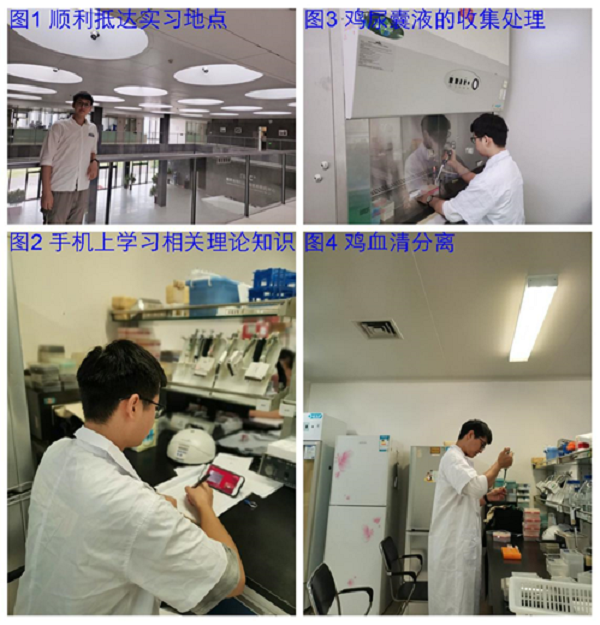 欧博官网