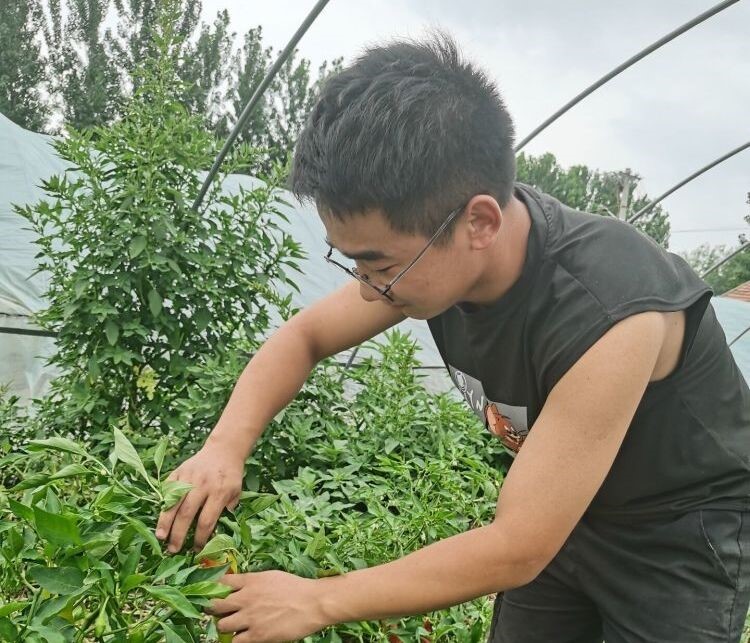 欧博官网