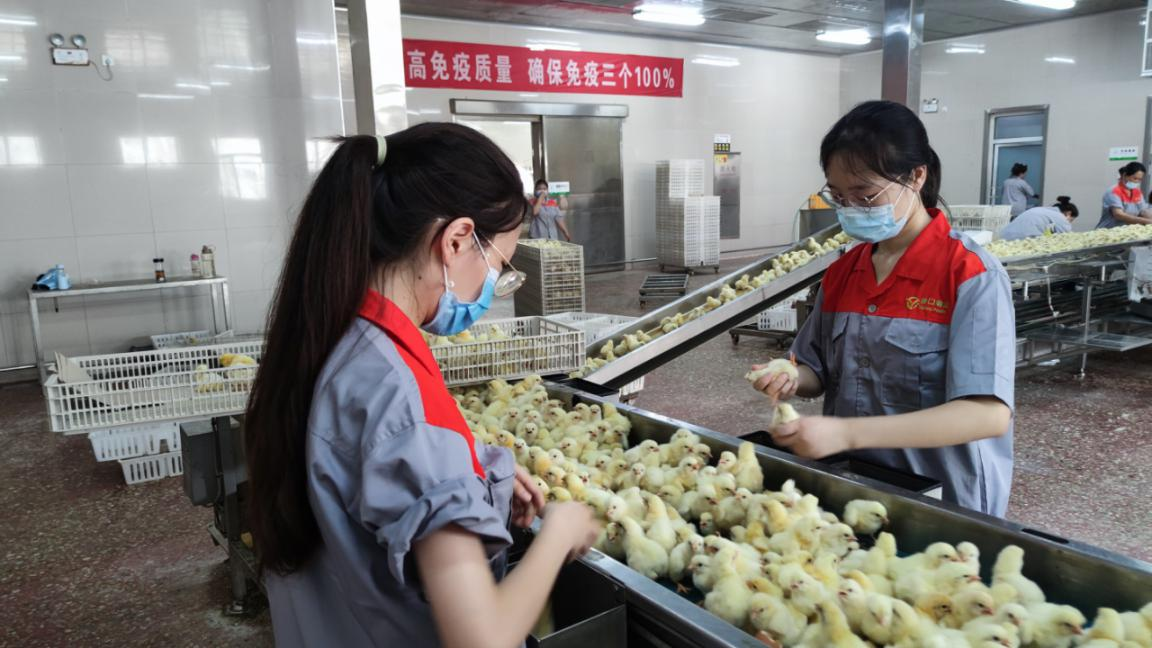 欧博官网