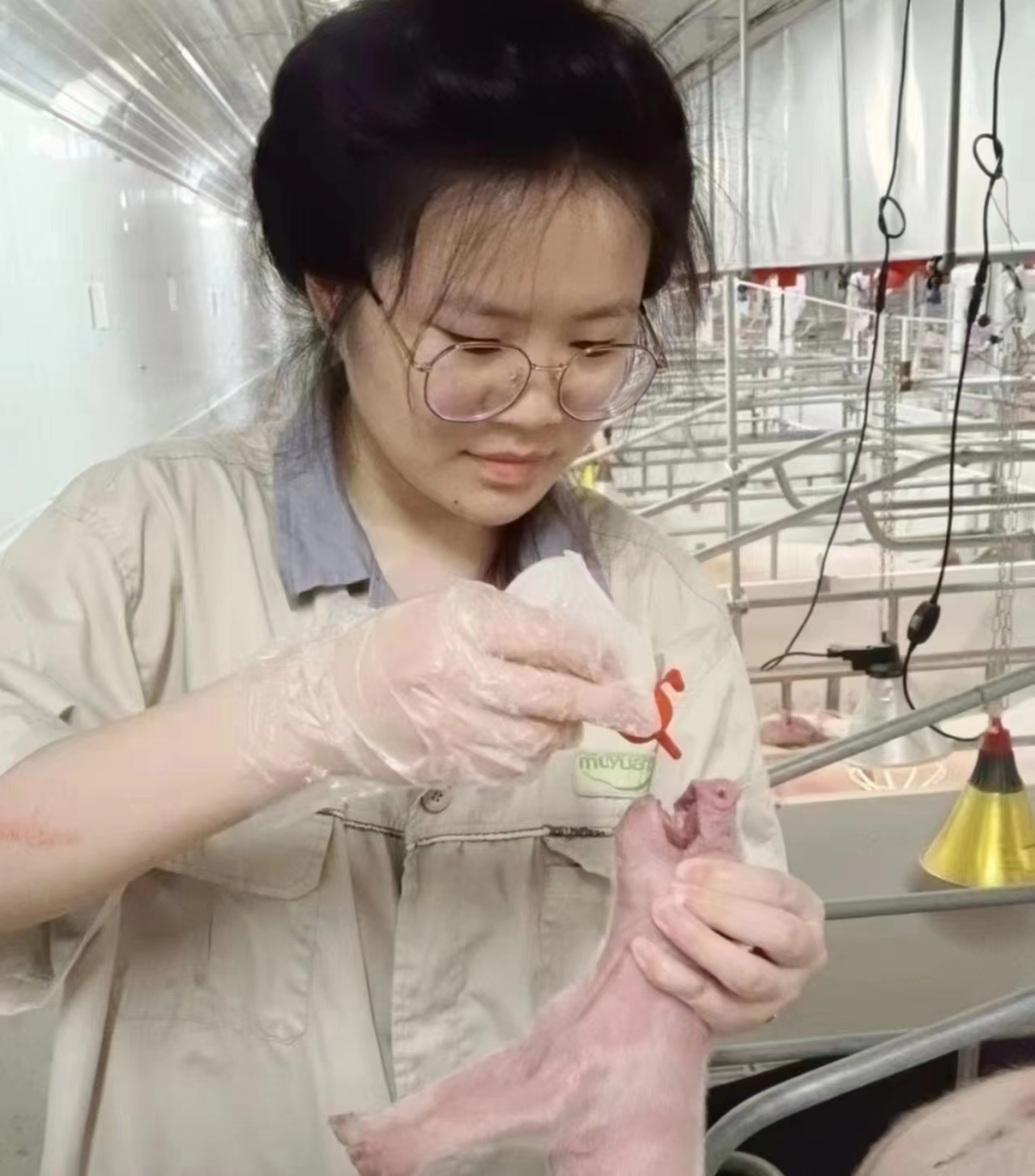 欧博官网