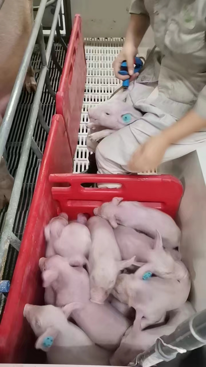 欧博官网