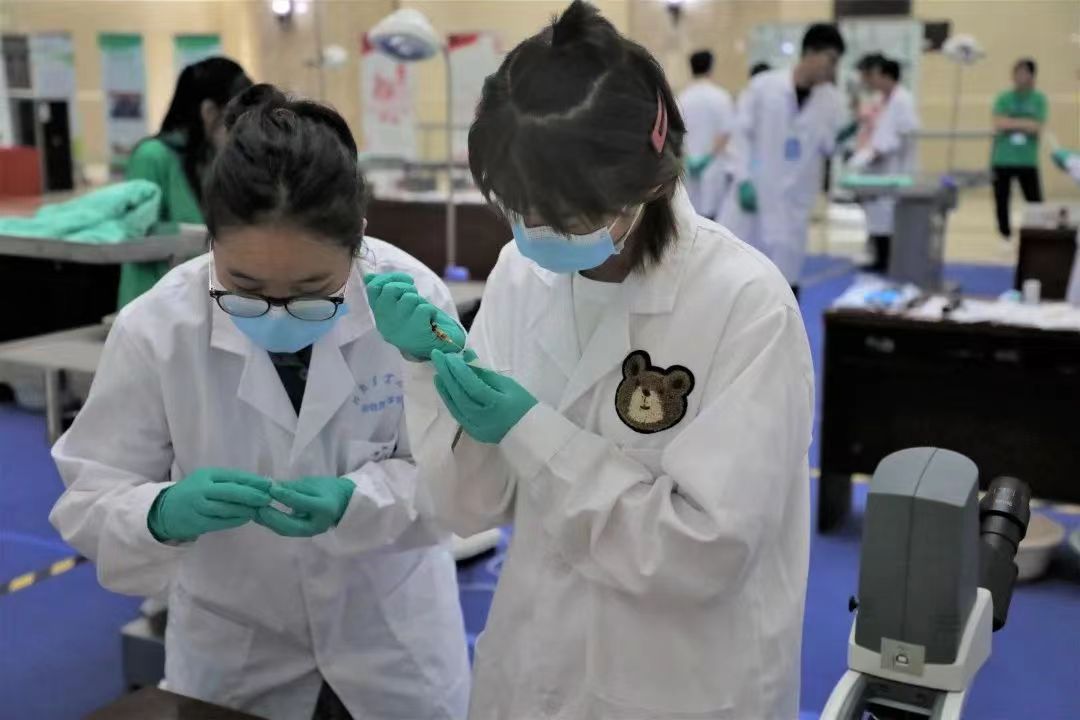 欧博官网