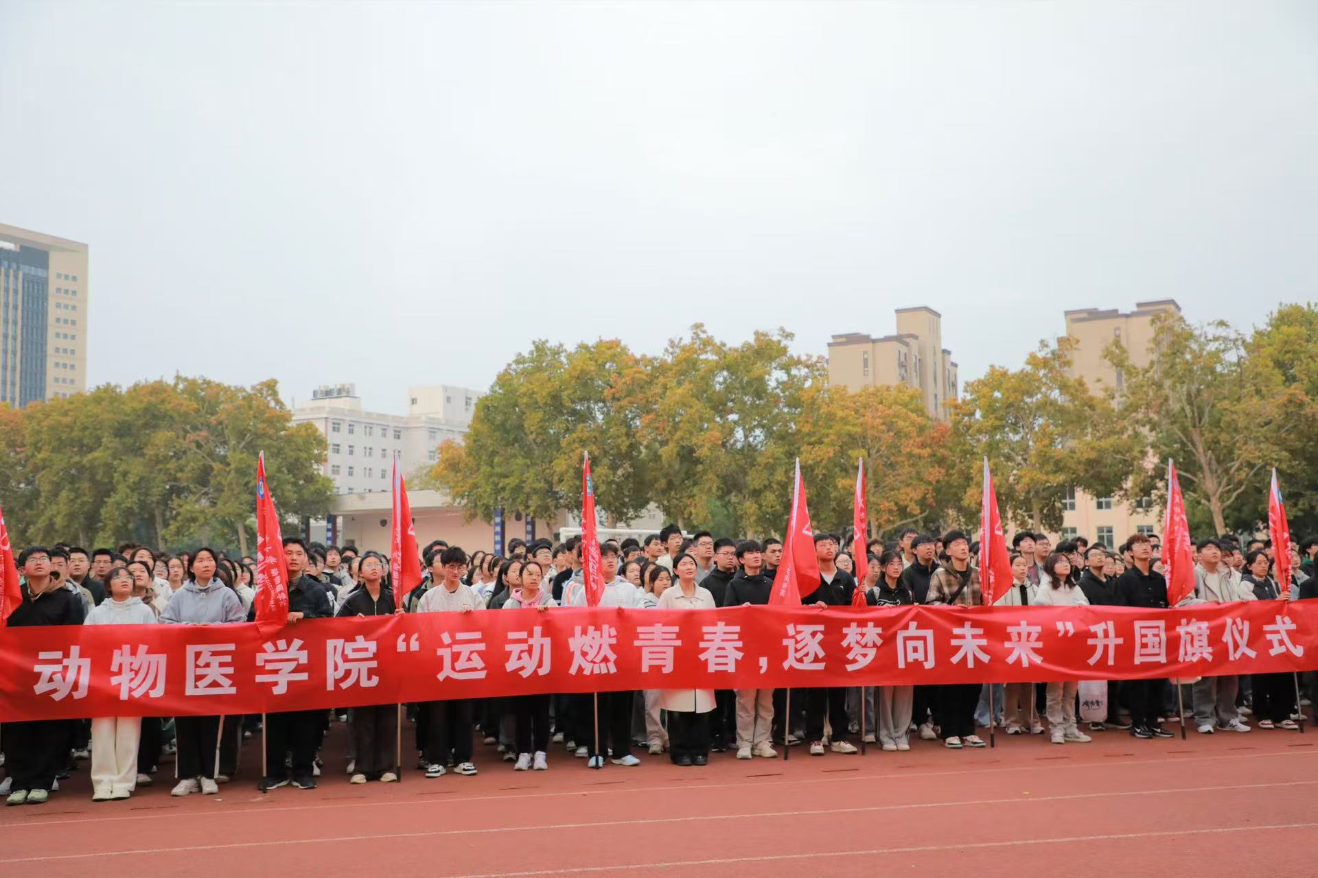 欧博官网