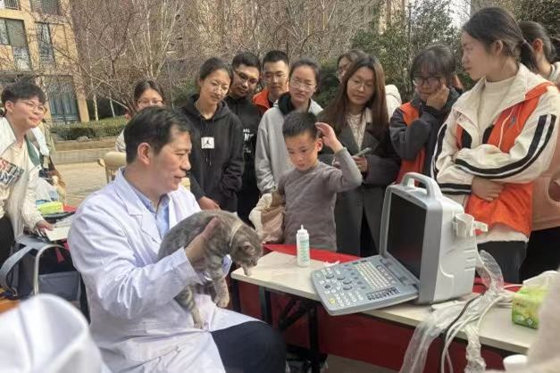 欧博官网