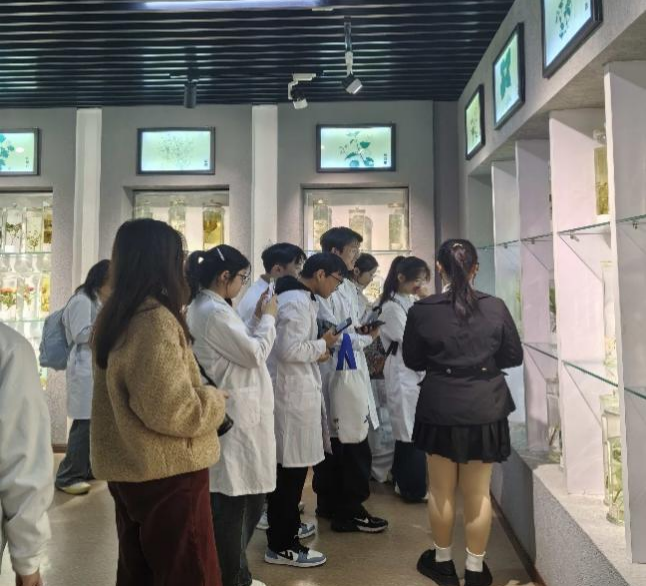 欧博官网