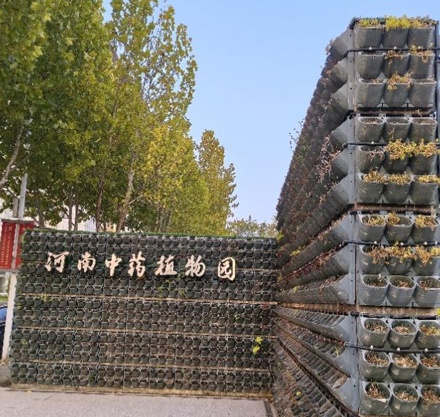 欧博官网
