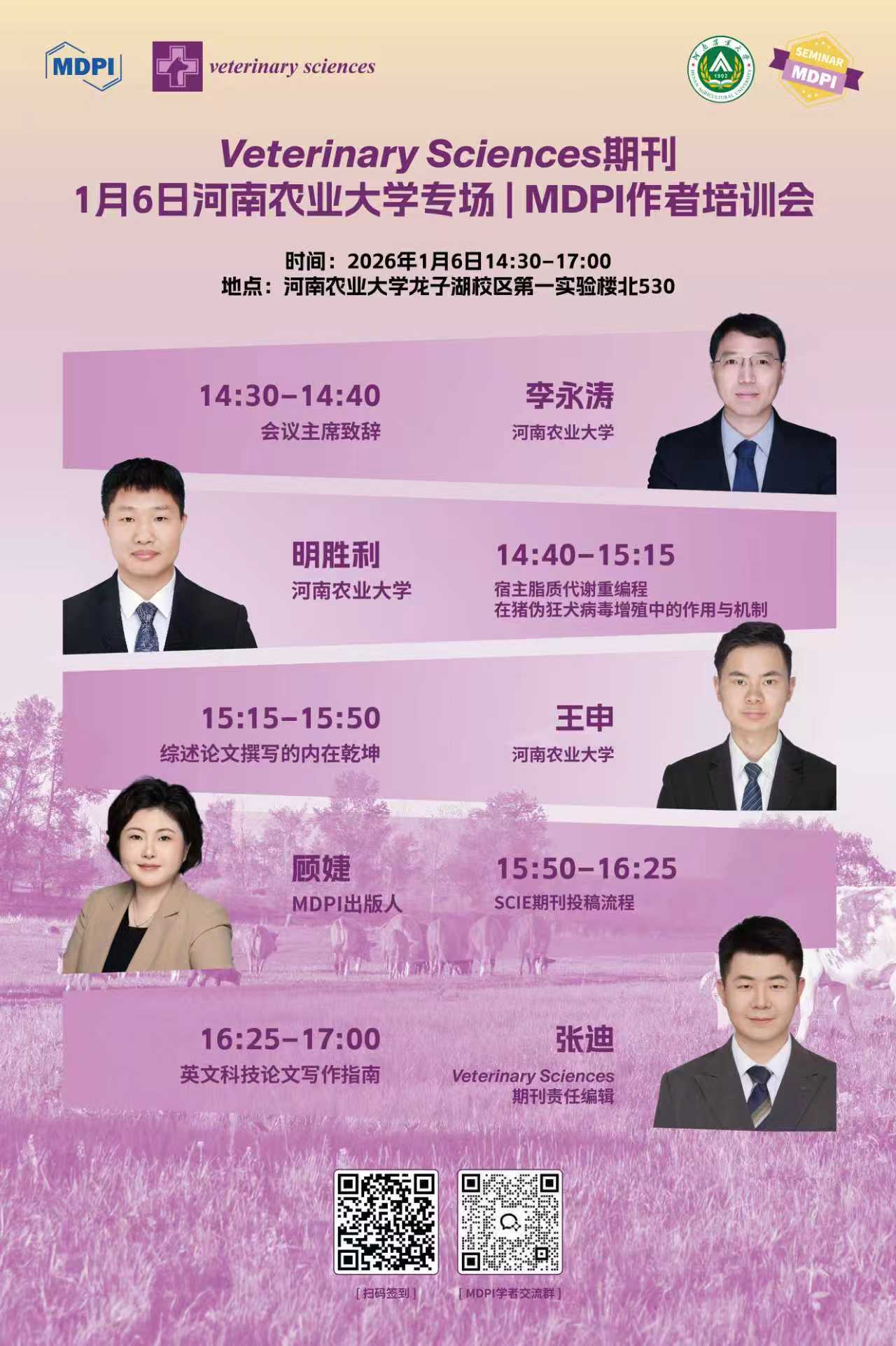 ŷ������