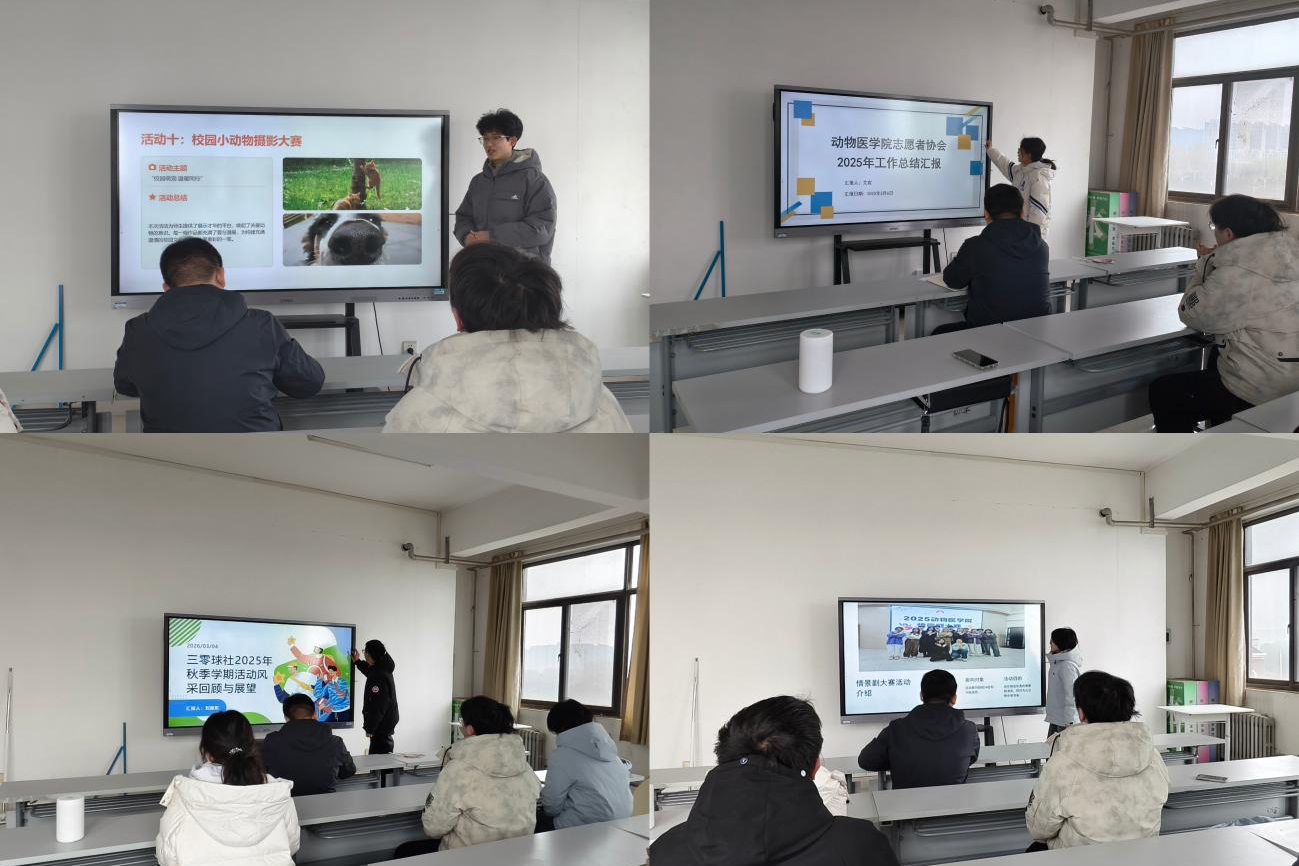 ŷ������