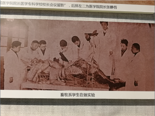 欧博官网