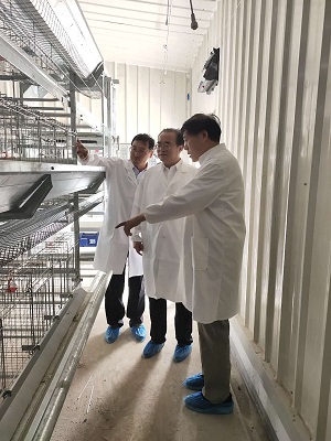 欧博官网