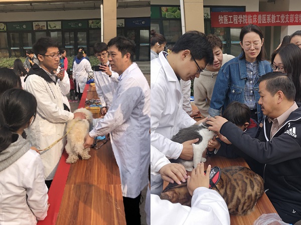 欧博官网